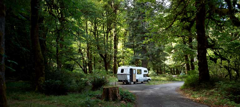 camper in forest campsite
