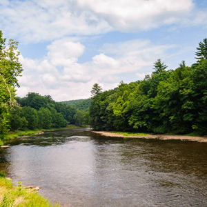 Cook Forest State Park